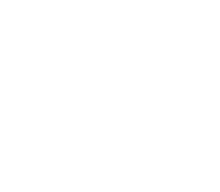Silhouette of NSW