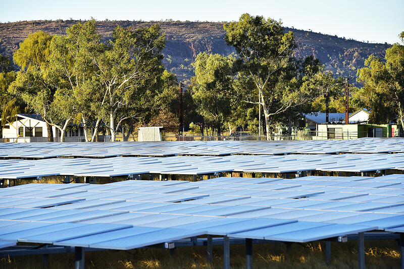 A field full of solar panels