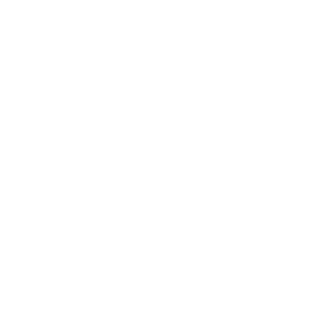 Icon of shield with lighting inside